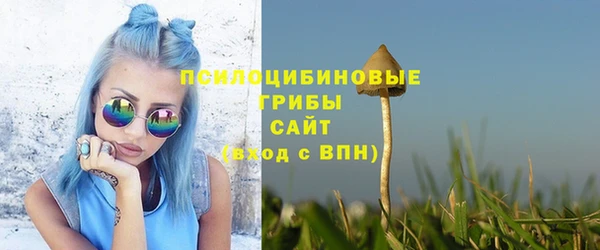 МДПВ Алзамай