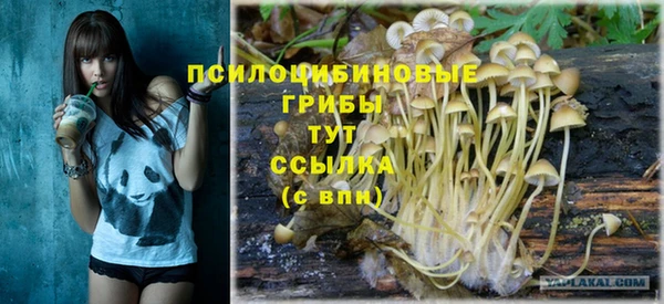 МДПВ Алзамай