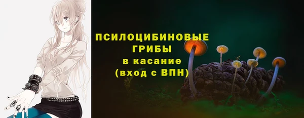 хмурый Абаза