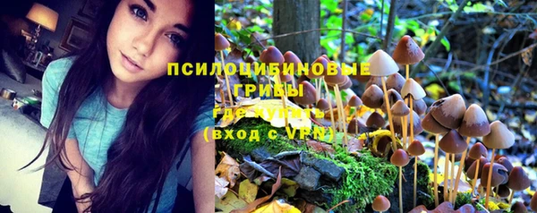 таблы Алексин