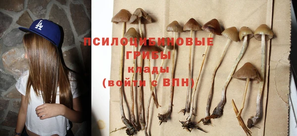 МДПВ Алзамай