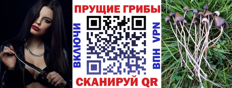 сколько стоит  Алексин  Галлюциногенные грибы MAGIC MUSHROOMS 