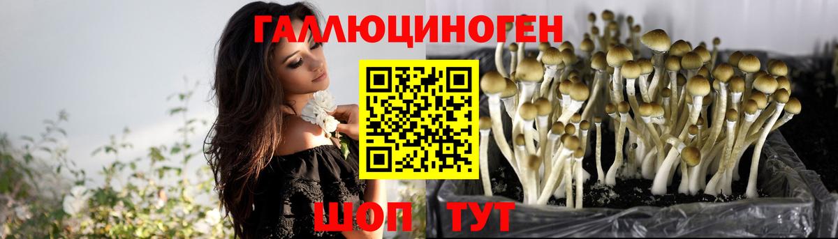 Алексин  продажа наркотиков  Вход с VPN  Галлюциногенные грибы прущие грибы 