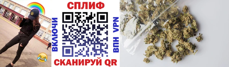 ссылка на мегу как войти Алексин Шишки марихуана план